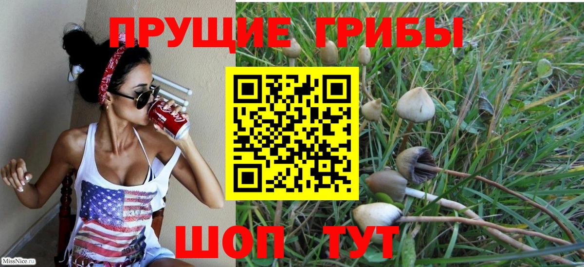 ГАШИШ Дзержинский