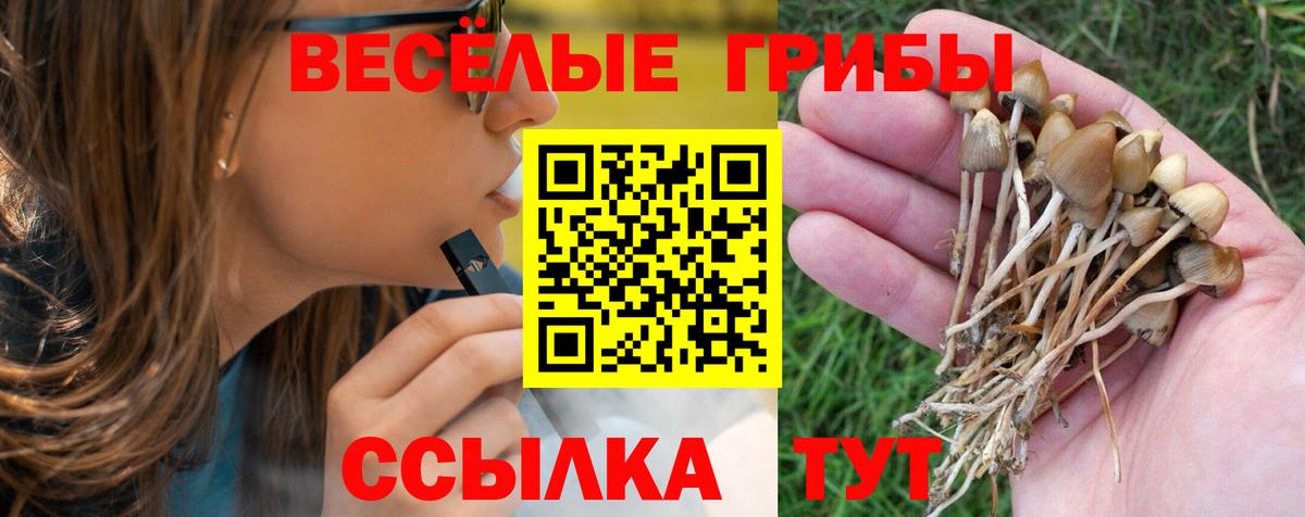 Псилоцибиновые грибы Cubensis Дзержинский