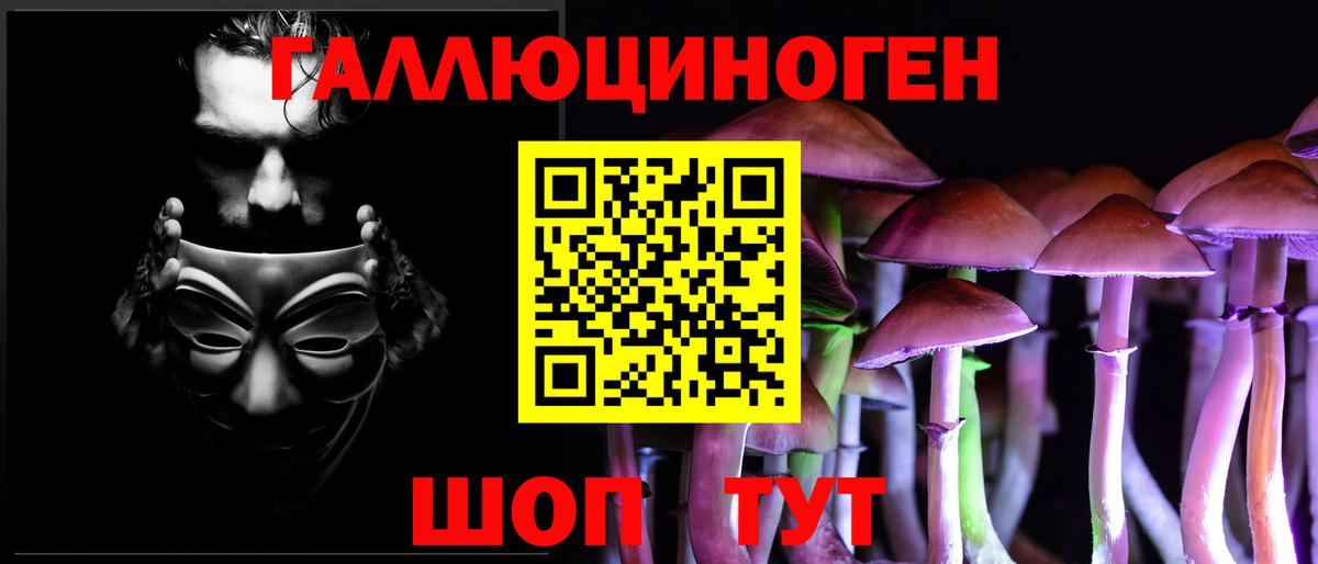 Псилоцибиновые грибы GOLDEN TEACHER  Галлюциногенные грибы Cubensis  Вход с VPN  Дзержинский 